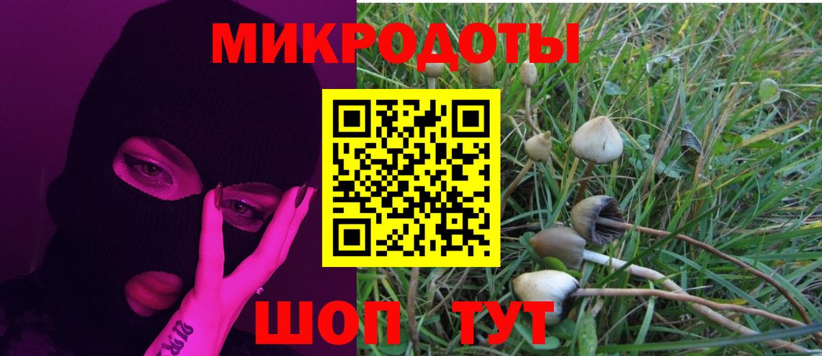 Псилоцибиновые грибы прущие грибы  где найти   Магнитогорск  Вход с VPN 